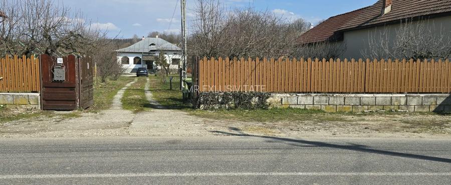 Proprietate de excepție în Lelești – la doar 8 km de Târgu Jiu - 27