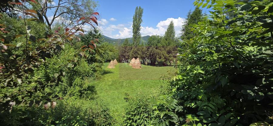 Teren intravilan 3159 mp de vanzare in Comarnic - 4
