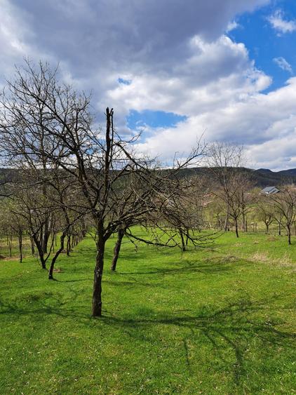 Teren între livezi și pădure, Vălcănești-7500 mp,ideal pentru refugiu în natura