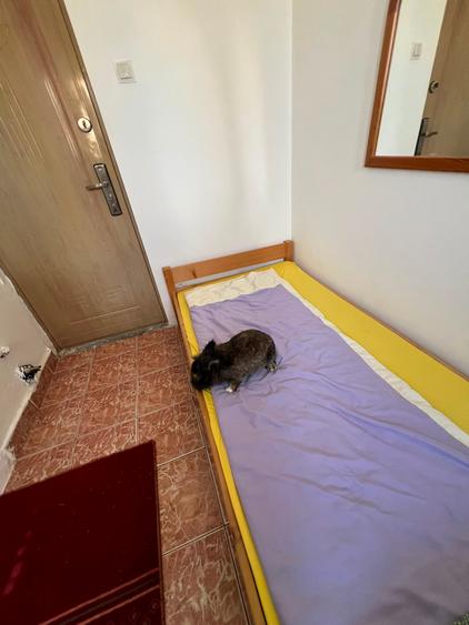 QG268 | 2nd Smallest "Apartment" in Romania? Babu Recomends