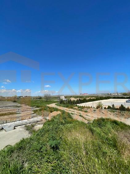 Hală de Vânzare Ovidiu | Teren 3000 mp | Investiție