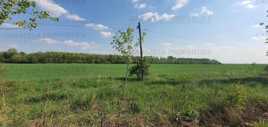 3 loturi de teren langa padure langa lacul Colacu, Dambovita