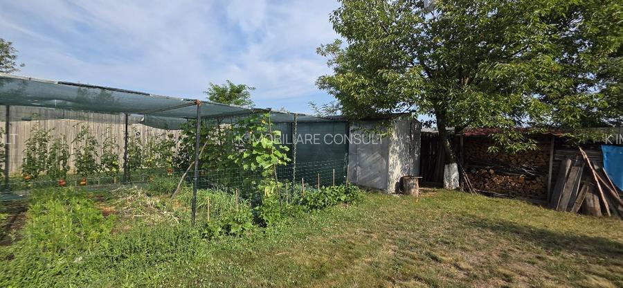 Ciopani vila 5 camere teren 4000 mp - 36