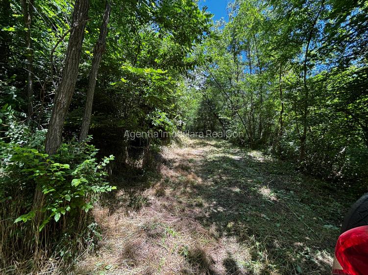 Teren Padure 6857 mp. intravilan Com Bujoreni-Valcea - 7
