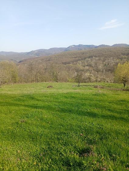 Vând terenuri,intravilane și extravilane !!!