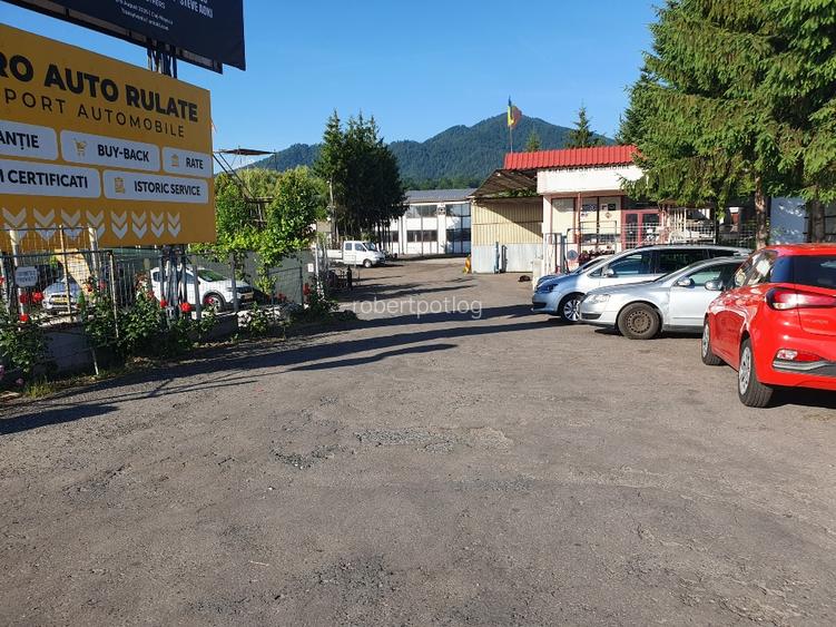 Hala industriala de inchiriat pe Calea Bucuresti folosinta multipla - 5