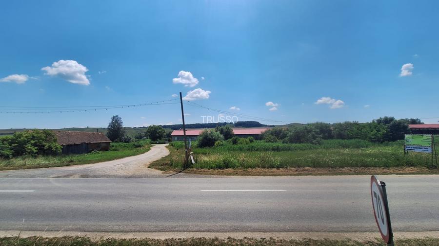 Teren intravilan 11.419 mp, Agnita - ideal dezvoltare industrială/comercială - 8
