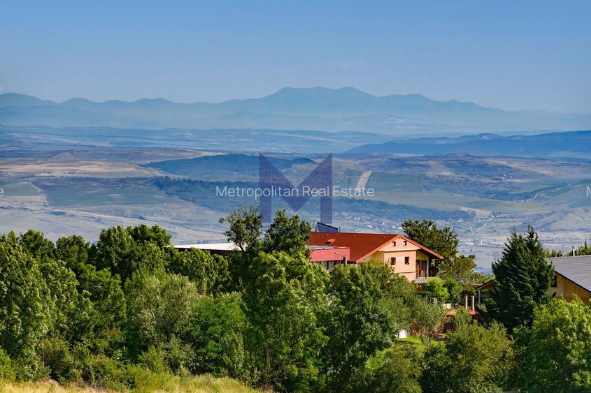Casa cu salcie - refugiul tău boem cu panoramă spre Cluj, la 15 minute de oraș - 33