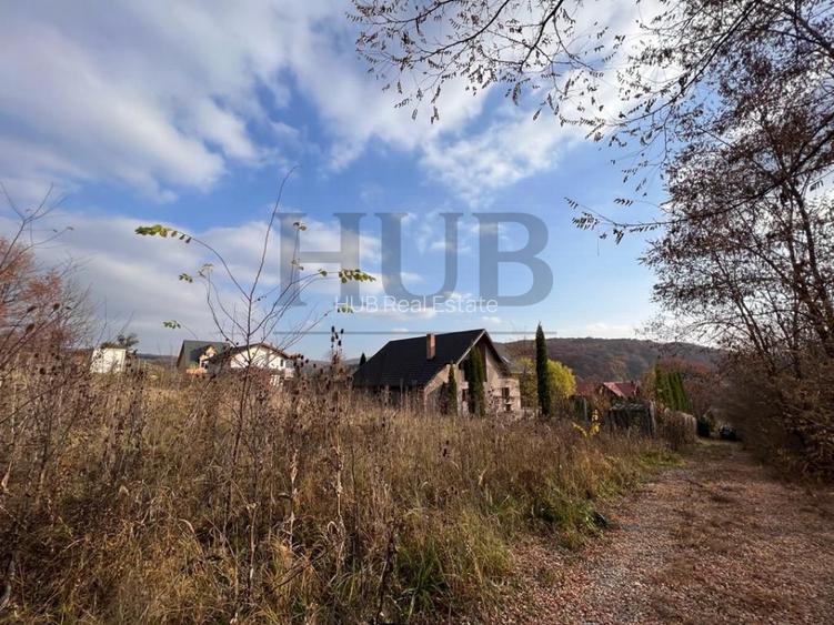TEREN 1095MP -PODIS -DN 2G- BACAU -MOINESTI - 6