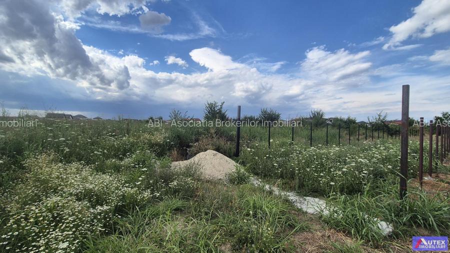 Teren Casa 800 mp in Magurele la 2 Pasi de Bucuresti - 3