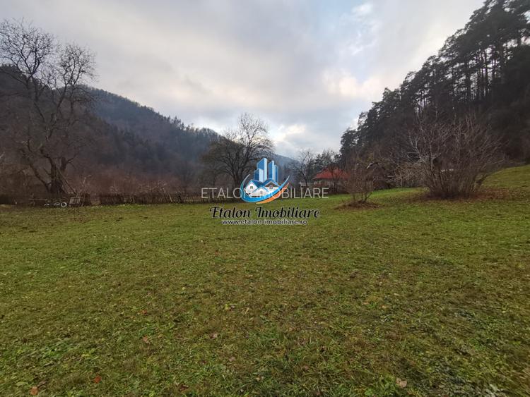 Teren Straja – Pangarati 3560 m, zona de Pensiune