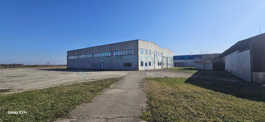 Hală Industrială de vanzare 6500 mp în Madaras la 30 km de Oradea, Bihor