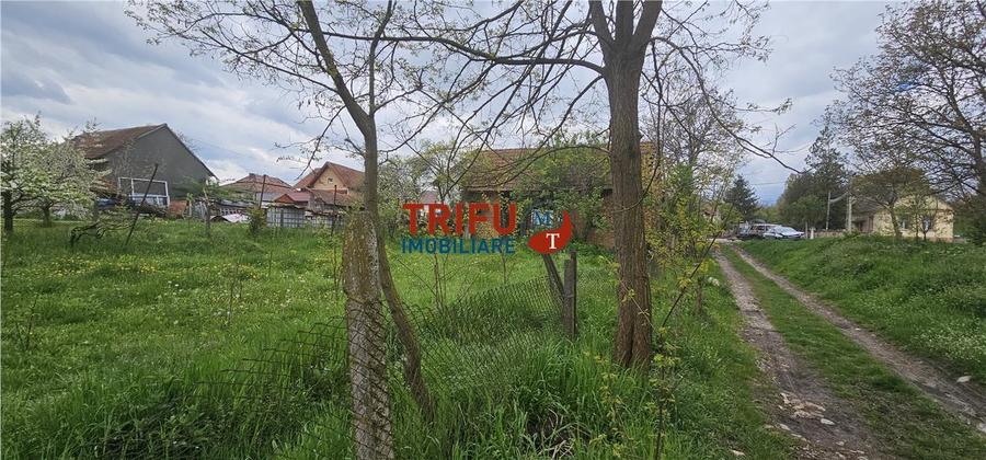 Casă veche + teren 3100 mp | Galda de Jos | Acces râu