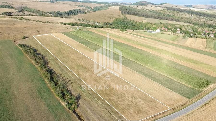 Teren extravilan | 19.000 mp | Ghidfalău