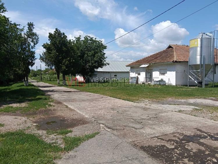 Afacere de vânzare: Fermă Avicola – Ialomița - 7