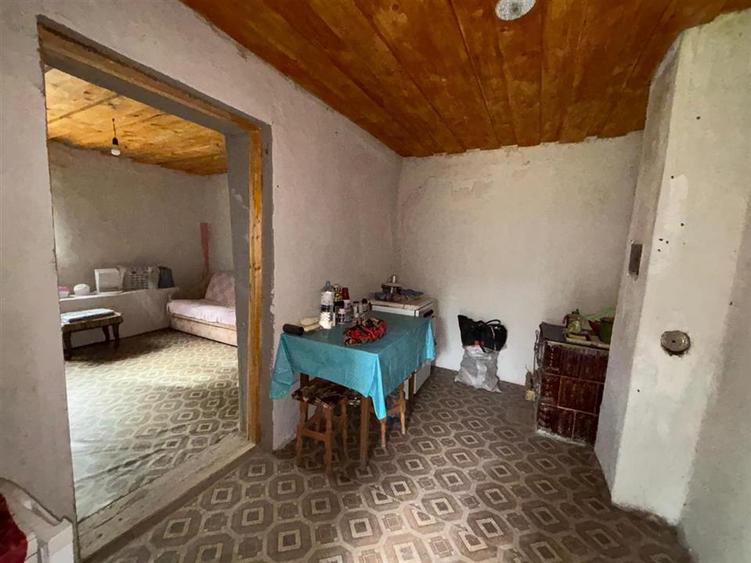 CASA DE VACANTA| TEREN 1.000 MP | SAT TRIA | COMUNA DERNA | JUDETUL BIHOR