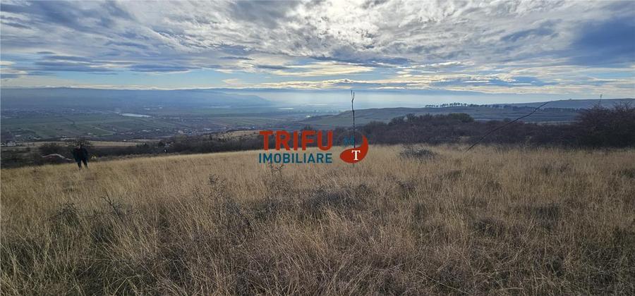 Teren extravilan în zona Pâclișa