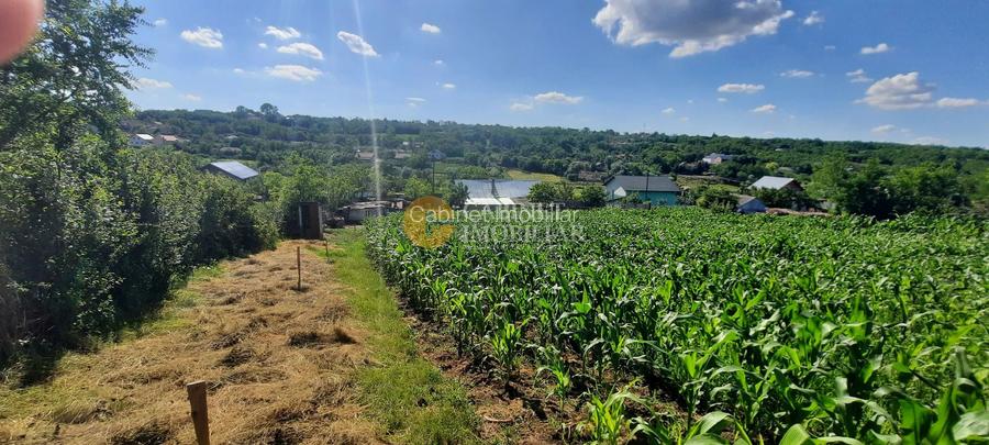 🏡 CASA  + Teren Intravilan 3000 mp , Totoești,Podu Iloaiei - 37.000 Euro 💰 - 15