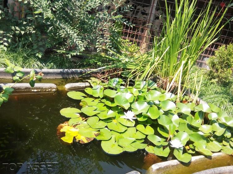 Chiajna - parcul Viitorului