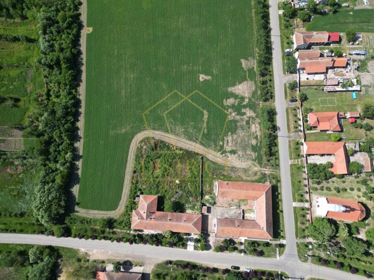 Casa cu istorie, teren de aproape 2 hectare si potențial rar | Petrovaselo