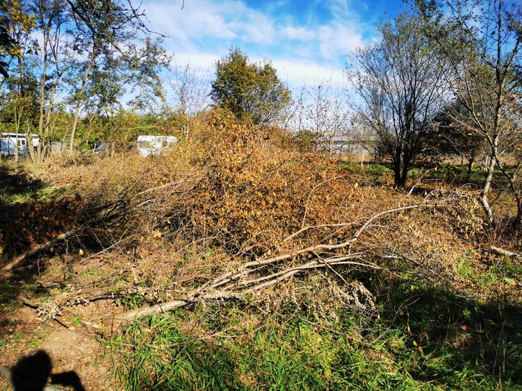 Teren Generos cu Casa in Gruiu - Snagov