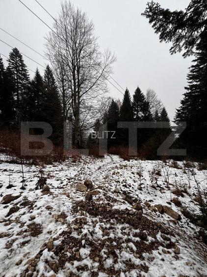 Teren unic, exclusivist  4000 mp, in inima muntilor, Sinaia - 4