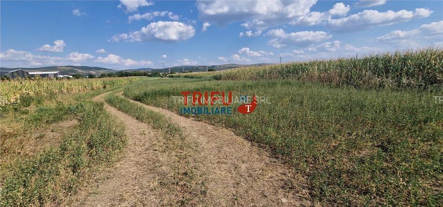 Teren intravilan construibil de 5.900 mp, zonă industrială, Șosea - 4