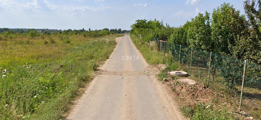 Teren de vanzare  7.400mp Ciolpani -Intravilan 300m de la DN1 -STRADA ASFALTATA  - 6
