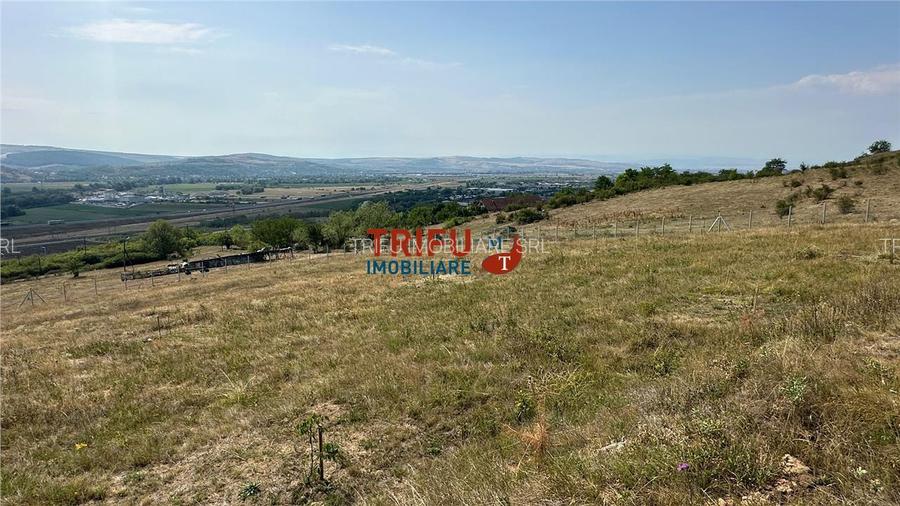 Teren pentru relaxare și agricultură în Barabant, Alba Iulia – Ex - 6