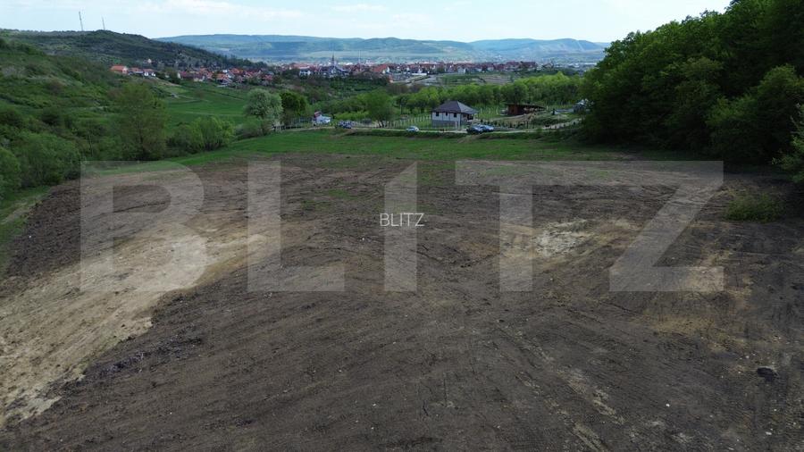 Teren 15.100 mp la baza pădurii – ideal parcelare | 14 loturi | priveliște super - 9