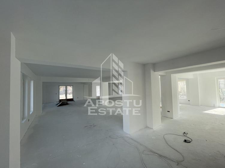 Spatiu comercial 238 mp, zona Lipovei , artera circulata