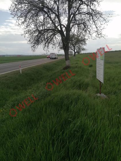 Teren intravilan de vânzare în Moacșa (Eresteghin)!