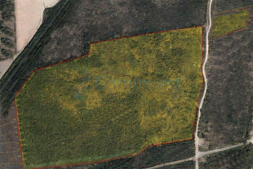 Teren intravilan de vanzare, 9 hectare , 30 km de Oradea, Bihor