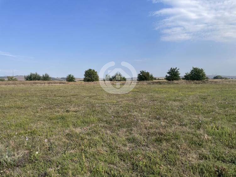 TEREN INTRAVILAN 4900 MP | 56 ML FRONT | SIBIU – ZONA TINERETULUI