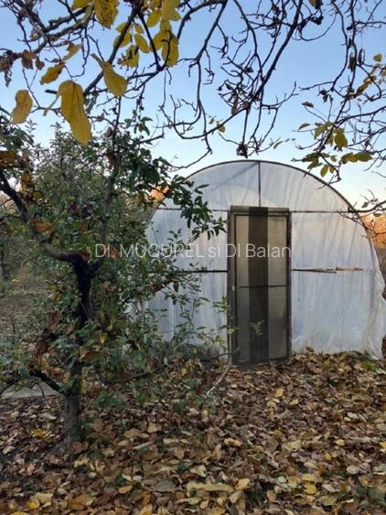  Oportunitate ideală de investiție și locuit– Casă, curte și livadă pe 1800 mp - 2