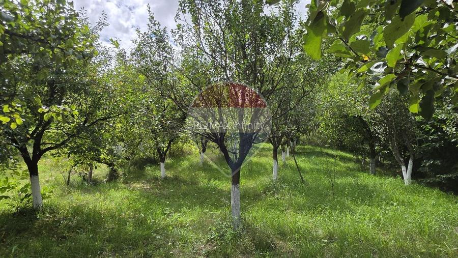 Casă cu teren generos de 2.800 mp la 38 km în satul Elciu - 8