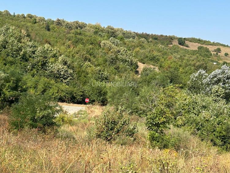Teren intravilan 500 mp Vlădiceni – Tomești , priveliste spre Iasi, parcela cu apa+curent - 5