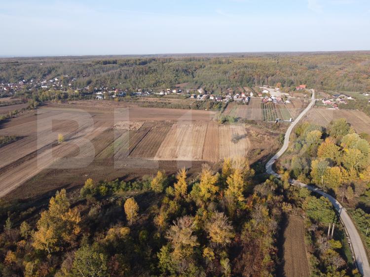 Proprietate de vanzare, 1000 mp, sat Gârleni