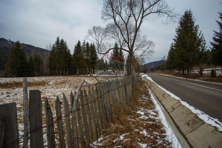 De vanzare | Teren Intravilan | Sat Sabasa, Comuna Borca, Neamt | - 4