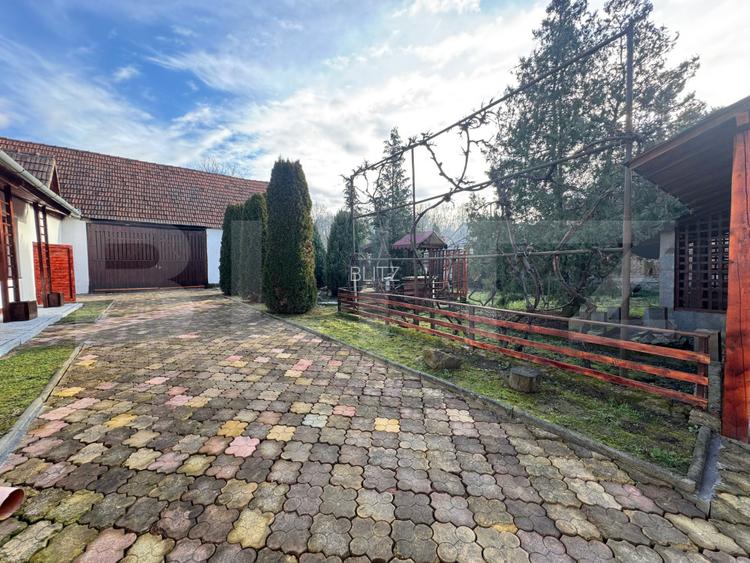 Vand casa cu 4 camere in Orastioara de Jos - 17