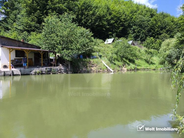 Casa de vacanta, cu lac, 5640 mp teren, Huta, com. Chiuiesti, jud. Cluj