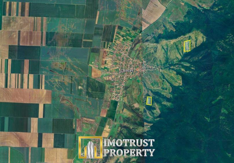 Teren agricol de vânzare 17,51 ha Covăsânț – 7.000 €/ha