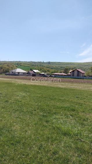 Teren extravilan 7.200 mp Bordea - Grajduri/ Oportunitate Investiție  - 6