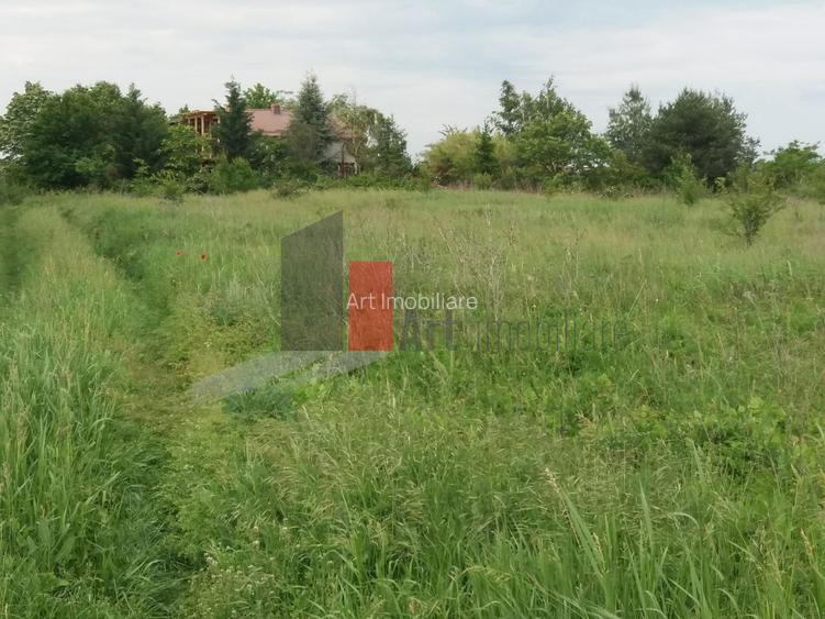 Teren Buftea cu iesire la lac - 18