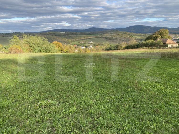 Teren intravilan in localitatea Aghires in suprafata de 1350mp - 3