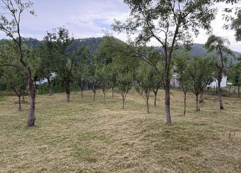 Teren 952 mp, Muereasca, la 15 min de centrul orasului Rm Valcea