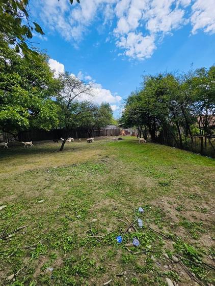 Casa cu teren intravilan 2.273 mp- pozitie centrala Darmanesti Bacau