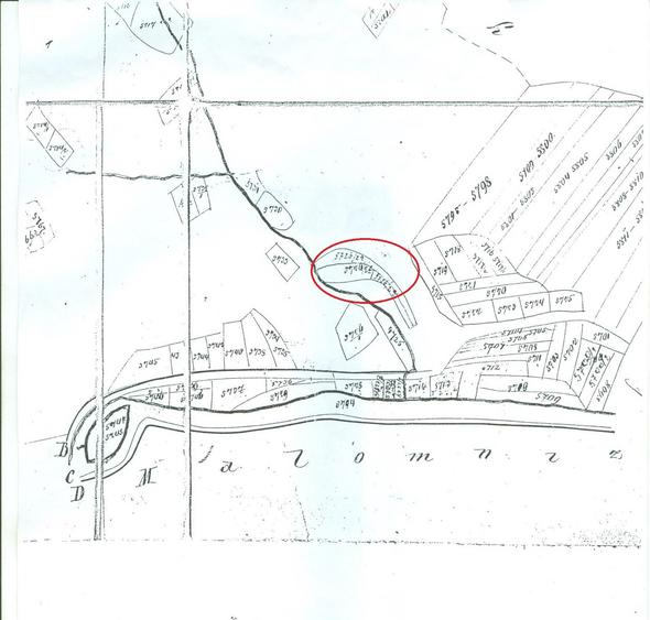 Proprietate rară în inima Retezatului – 5.700 mp teren intravilan