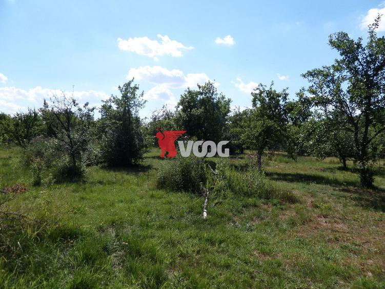 Teren intravilan | 2.810 mp|18ml|Zona Fratelia|