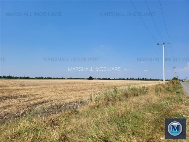 Teren intravilan de vanzare, zona Exterior Sud, 9903 mp #16110 - 4